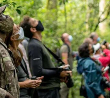 Birdwatching safari in Mabamba Swamp, Uganda