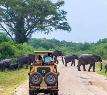 Big 5 game drive in Queen Elizabeth National Park, Uganda
