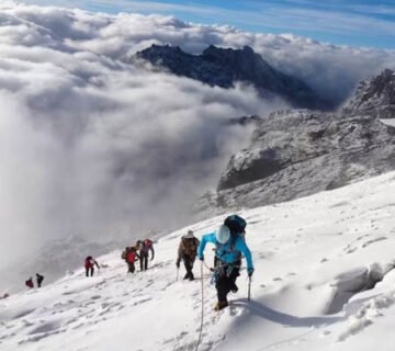 Rwenzori Mountains trekking trail with view