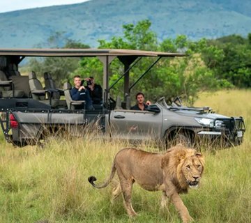 Tailored safari ideas featuring thrilling game drives in Uganda’s Murchison Falls