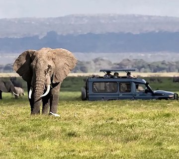 Game drive in Queen Elizabeth National Park offering East Africa safari experiences with Big Five wildlife sightings