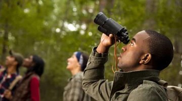 Travelers on safari in Akagera National Park with thick forest and birds in the background.